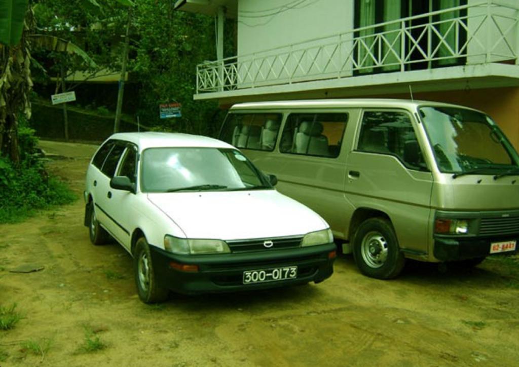 Palm Garden Home Stay Deiyannewela Bagian luar foto